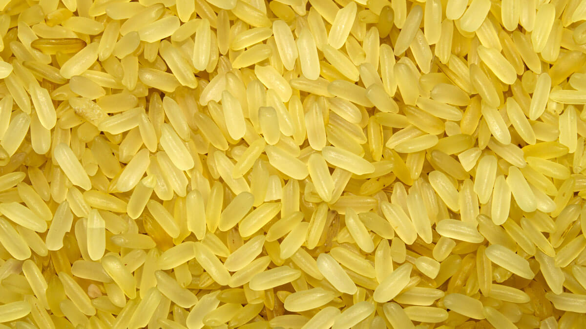 What Is Nutritionally Enhanced Golden Rice And Why Is It